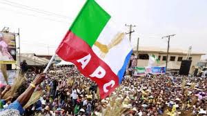 Primaries: Edo, Ondo Guber aspirants to pay N22.5m fee – APC