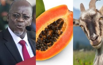 President Reacts As Goat And Pawpaw Test Positive For Coronavirus